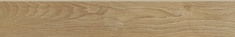 Roble Naturale Цоколь 9,6х59,9 Roble Naturale Цоколь 9,6х59,9
