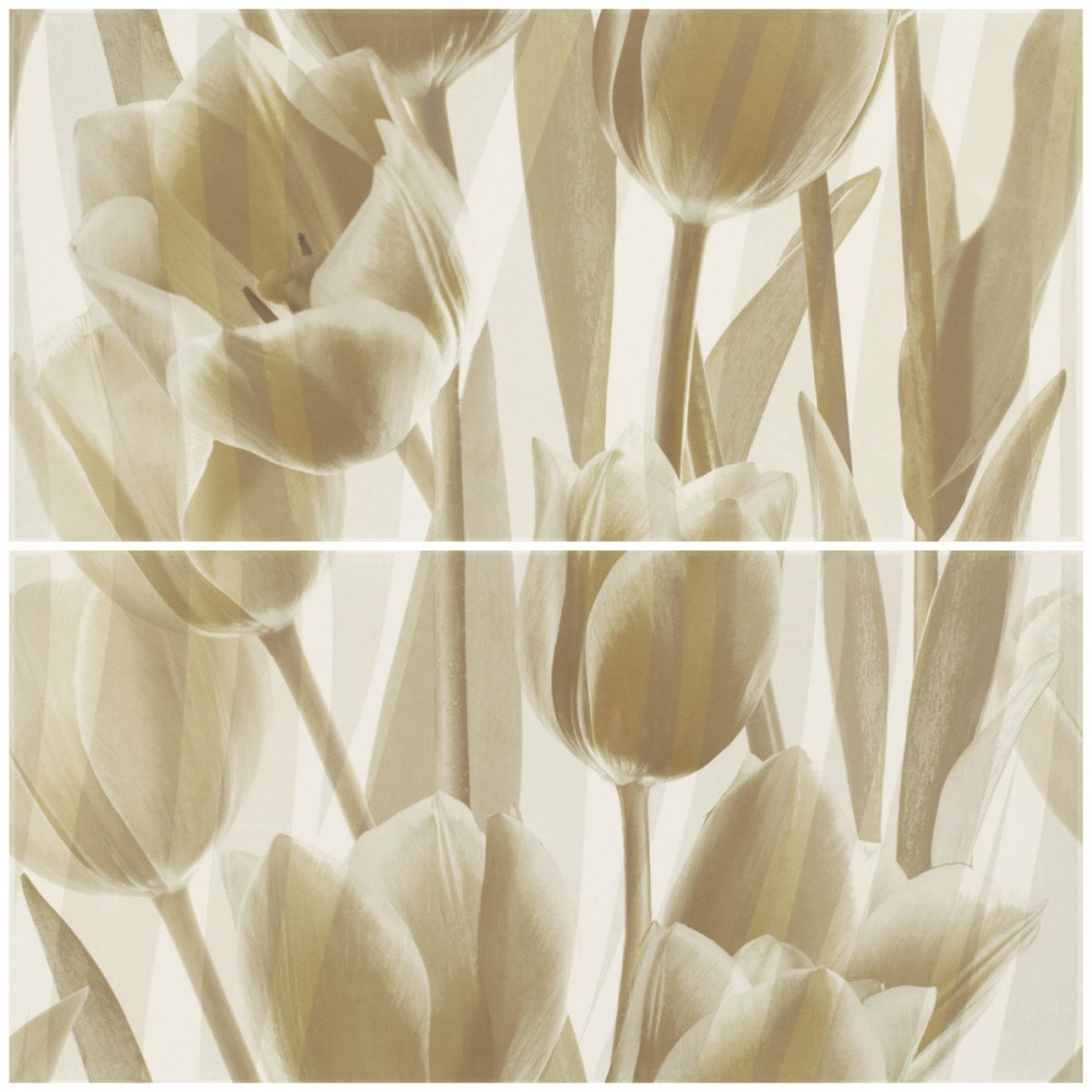 Coraline Tulipany Панно (Компл х2) 60х60 Coraline Tulipany Панно (Компл х2) 60х60
