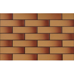 Miodowa 9850 Плитка Фасадная 24,5х6,5х0,65 Miodowa 9850 Плитка Фасадная 24,5х6,5х0,65