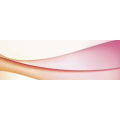 Universalne Hyperline D Декор 20х60