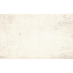 Muro Bianco Плитка настенная 25х40 Muro Bianco Плитка настенная 25х40