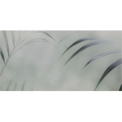 Taiga Inserto Szklane B 29,5х59,5
