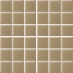 Uniwersalna Szklana Beige Мозаика 29,8х29,8 (куб 4,8х4,8)