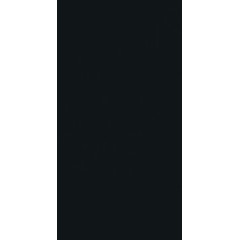 Bellicita Nero Плитка настенная 30х60 ( уп.1,44) Bellicita Nero Плитка настенная 30х60 ( уп.1,44)