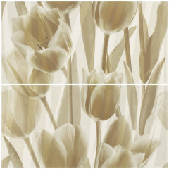 Coraline Tulipany Панно (Компл х2) 60х60